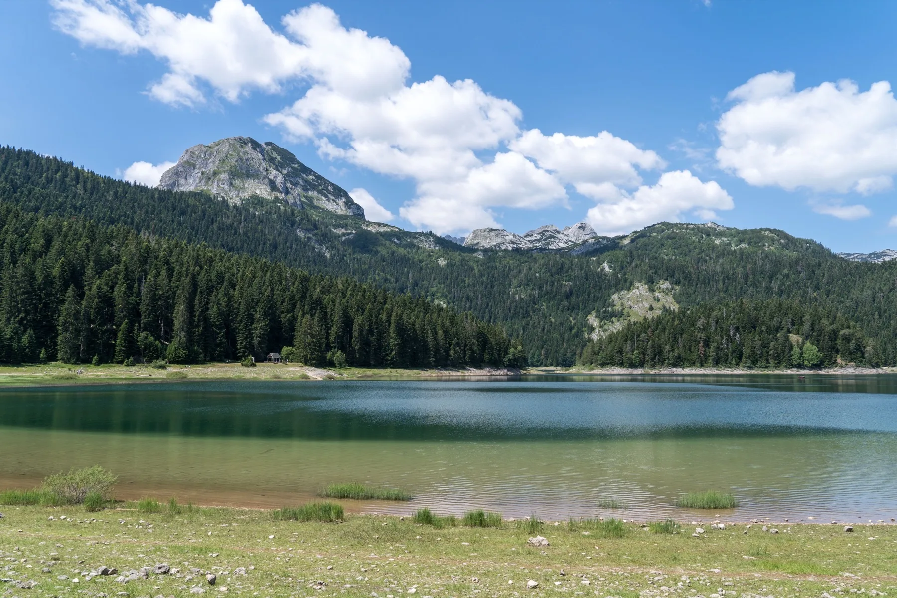 Žabljak
